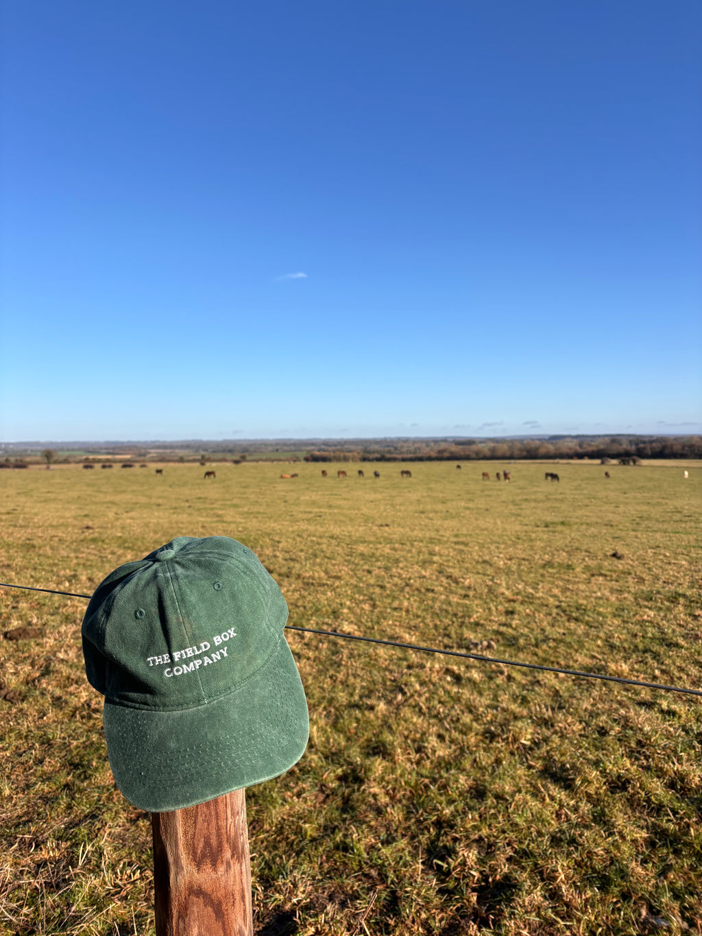 The Original Field Box Cap