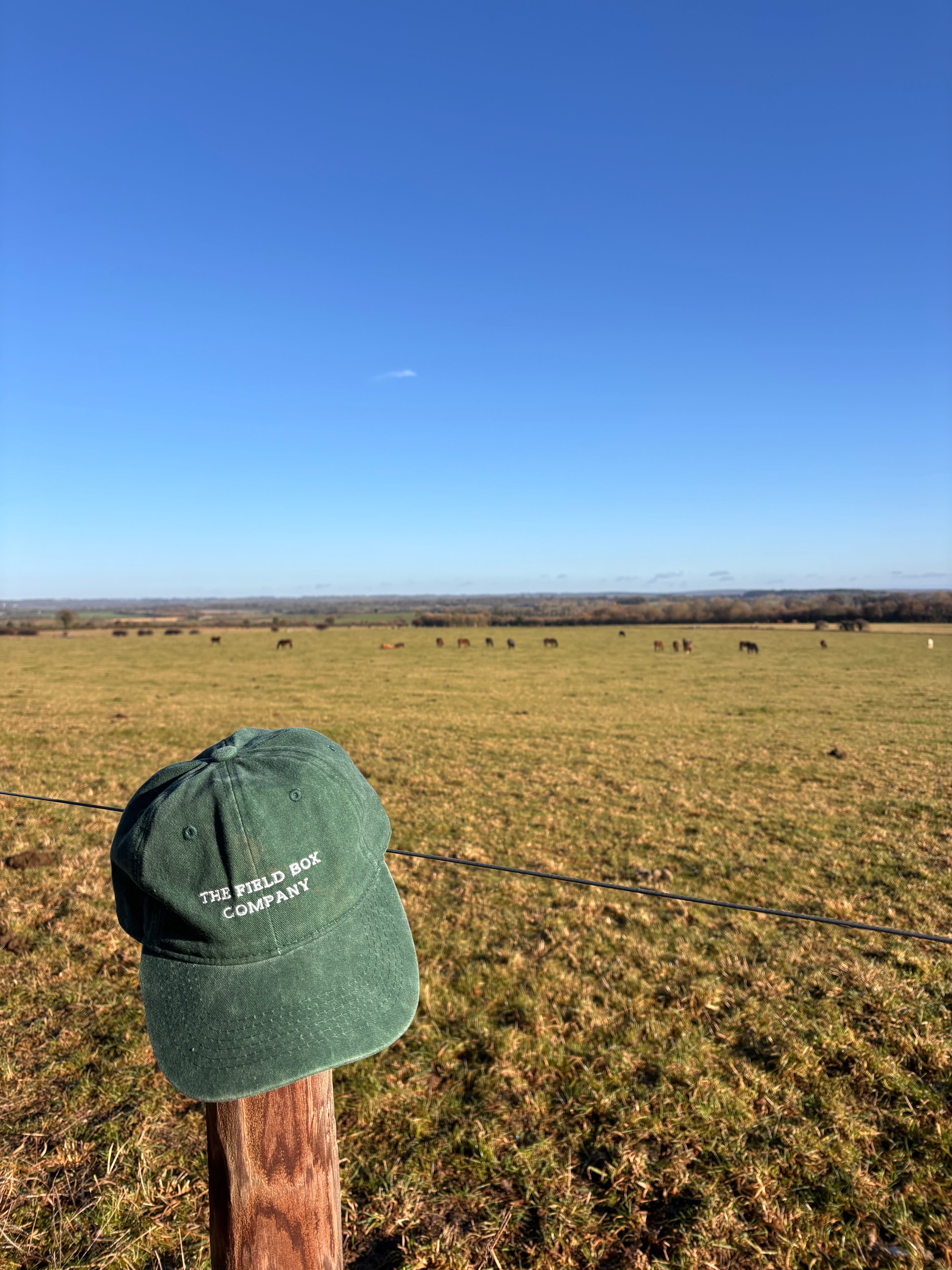 The Original Field Box Cap